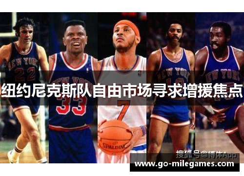 纽约尼克斯队自由市场寻求增援焦点 纽约尼克斯队自由市场寻求增援焦点