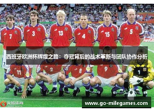 西班牙欧洲杯辉煌之路:夺冠背后的战术革新与团队协作分析 西班牙欧洲杯辉煌之路:夺冠背后的战术革新与团队协作分析