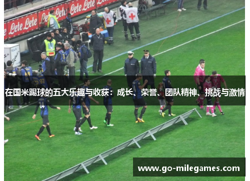 在国米踢球的五大乐趣与收获：成长、荣誉、团队精神、挑战与激情