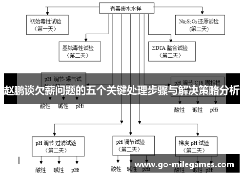 赵鹏谈欠薪问题的五个关键处理步骤与解决策略分析 赵鹏谈欠薪问题的五个关键处理步骤与解决策略分析