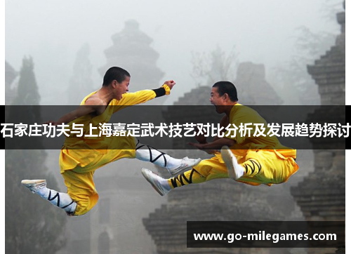 石家庄功夫与上海嘉定武术技艺对比分析及发展趋势探讨 石家庄功夫与上海嘉定武术技艺对比分析及发展趋势探讨