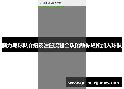 魔力鸟球队介绍及注册流程全攻略助你轻松加入球队 魔力鸟球队介绍及注册流程全攻略助你轻松加入球队